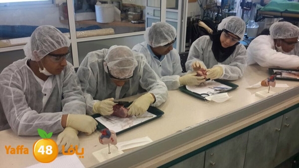 shamela teb khederas (5).jpg